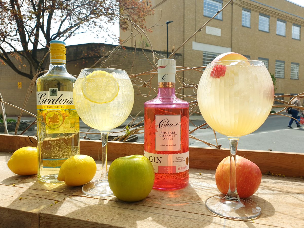 Lemon Gin Sprizt or Rhubarb &amp; Bramley Apple Gin Spritz?