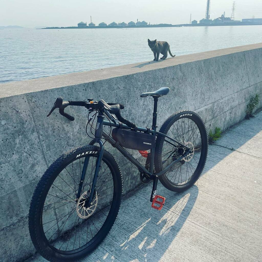 cotaro70s's tweet photo. ご近所チャリ活で海成分補給。#konasutra #sutraltd https://t.co/tRQsMNbQgx https://t.co/1Xp8ziEs85