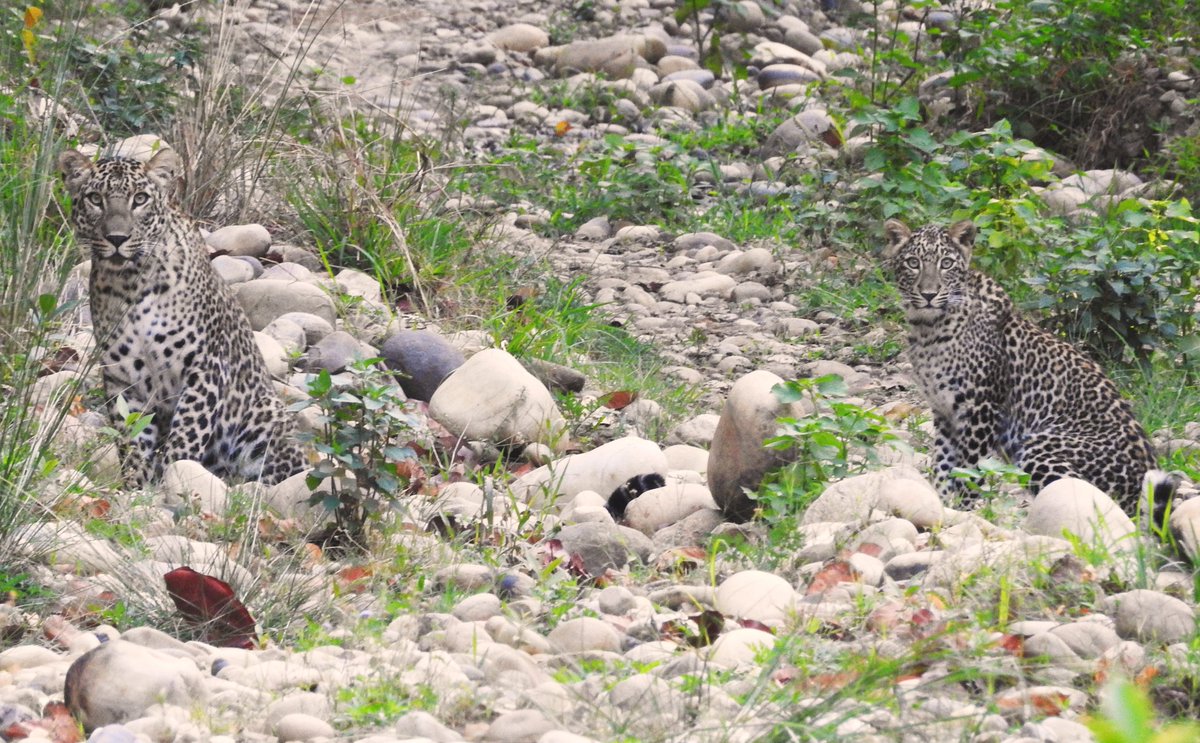 KUNAL ANGRISH tweet media