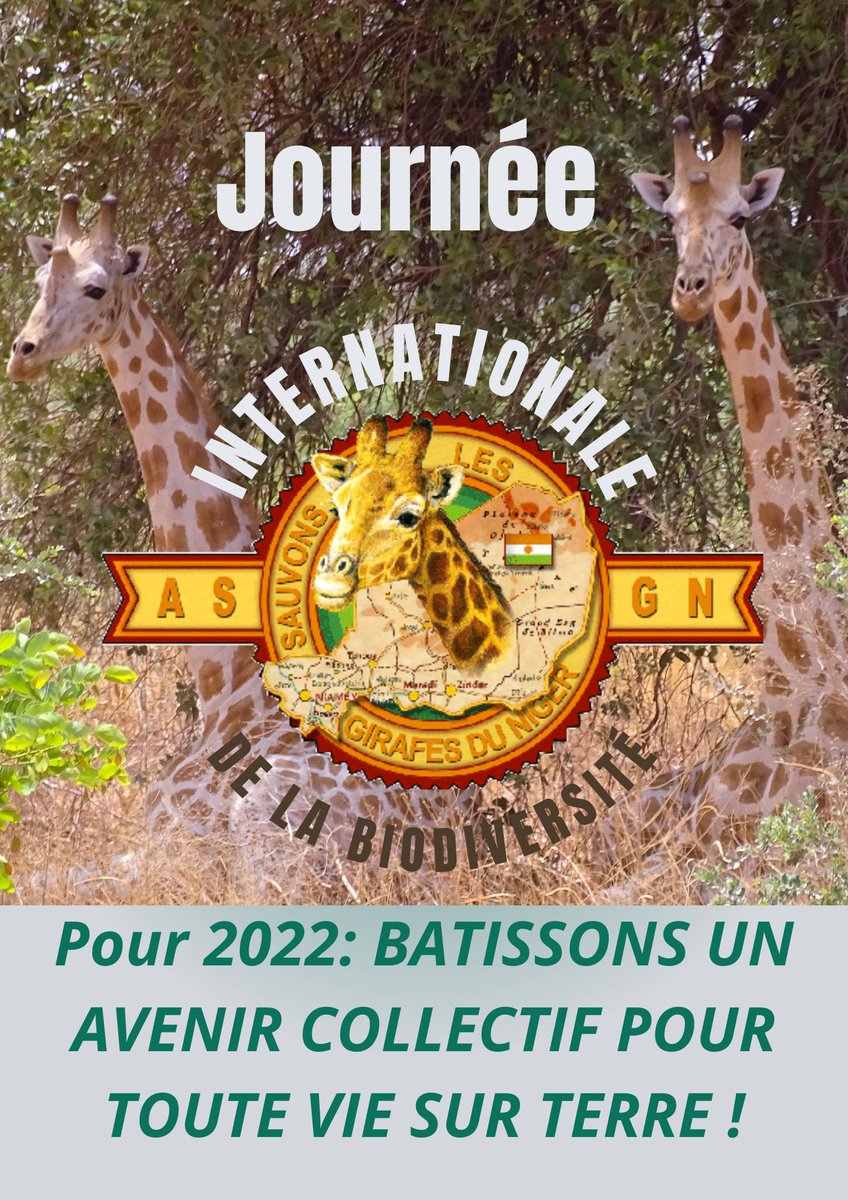 Aujourd'hui , c'est  #WorldBiodiversityDay 
Un grand merci à tous nos partenaires particulièrement <a href="/Bioparcdedoue/">Bioparc - Zoo de Doué la Fontaine</a>  pour le soutien à la conservation des dernières Girafes d'Afrique de l'Ouest. 

#WorldBiodiversityDay #BiodiversityDay #biodiversité #biodiversity  #Niger #giraffes