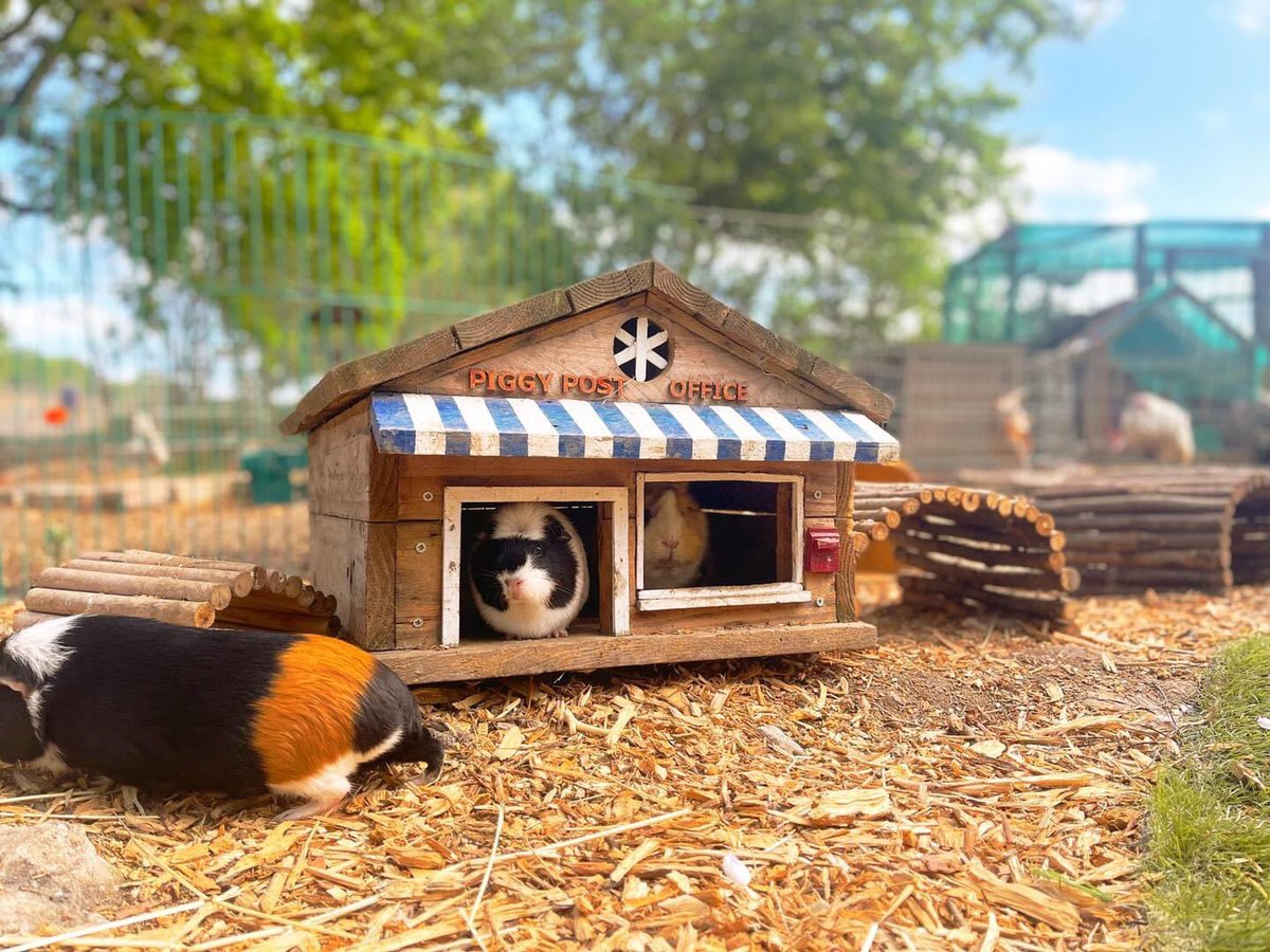 💚 It’s the wheekend! 💚

In Guinea Village the post office shuts at 12pm so everyone’s hurriedly getting their stamps and envelopes before 💚 It’s the wheekend! 💚