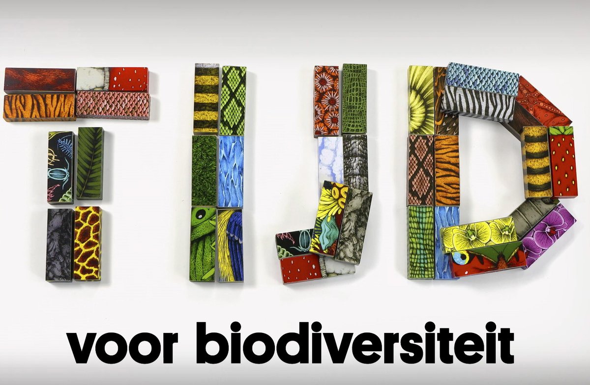 Vandaag, op #BiodiversityDay2022, besteedt <a href="/museumnaturalis/">Naturalis Biodiversity Center</a> uiteraard aandacht aan het belang van #biodiversiteit met de slogan TIJD voor Biodiversiteit. Alle organismen, van klein tot groot, zijn van elkaar afhankelijk en vormen één ecologisch netwerk