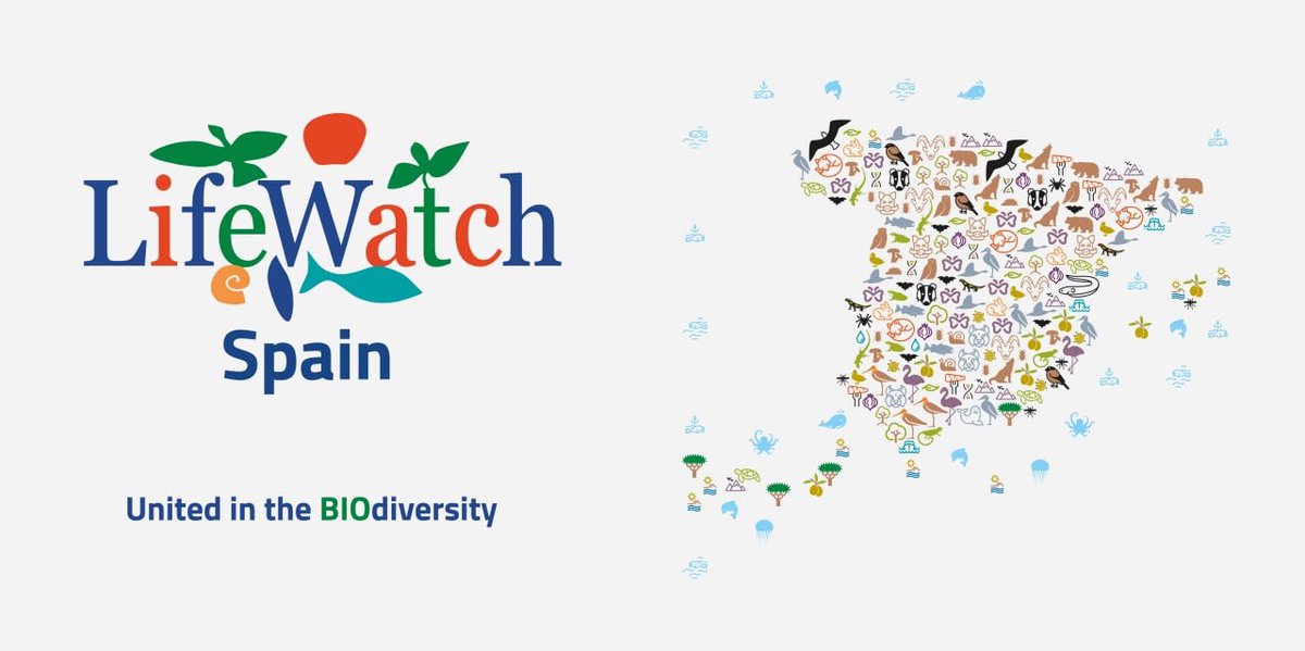 Bienvenidos a la cuenta oficial del nodo Español del Consorcio Europeo de Infraestructuras de Investigación - LifeWatch ERIC 🌱🌍 #unitedintheBIOdiversity #unidosenlaBIOdiversidad ➡️ lifewatch.eu