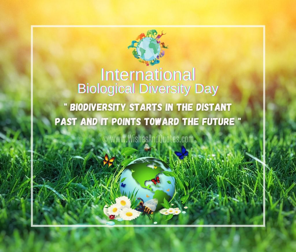 ckarangwa30's tweet photo. Cultivating and conserving biological diversity is no luxury in our times: It is a survival imperative. #ActionIsNow #NoSmallAction #NoSmallChange. #BiologicalDiversity day! https://t.co/kqCkuVv57n