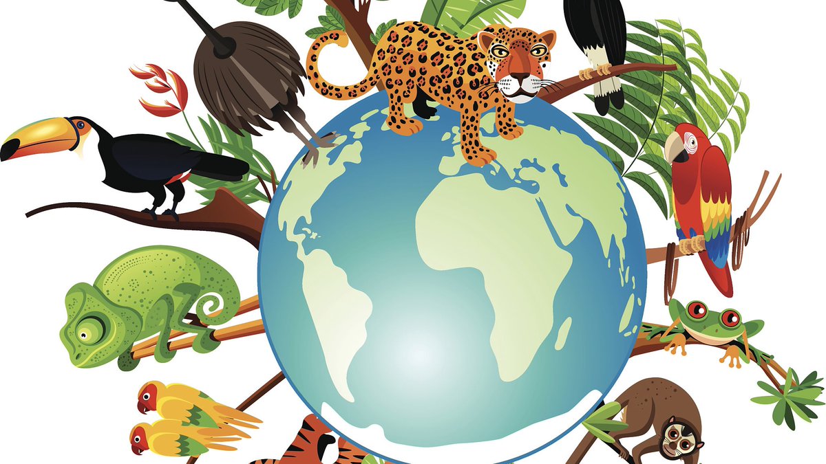 ckarangwa30's tweet photo. Cultivating and conserving biological diversity is no luxury in our times: It is a survival imperative. #ActionIsNow #NoSmallAction #NoSmallChange. #BiologicalDiversity day! https://t.co/kqCkuVv57n