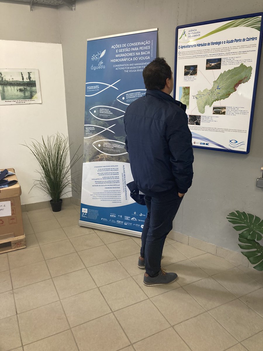 ANDROMOSPT1's tweet photo. Celebrating #WorldFishMigrationDay with Mondego fisherman’s visit to the #fishpassage of Açude Ponte Coimbra   @MARE_centre @univdeevora @apambiente #DiadESproject #AtlanticArea @fishmigration #freeflowingrivers @LifeAgueda @ANDROMOSPT1 https://t.co/VHkGSRGZuq