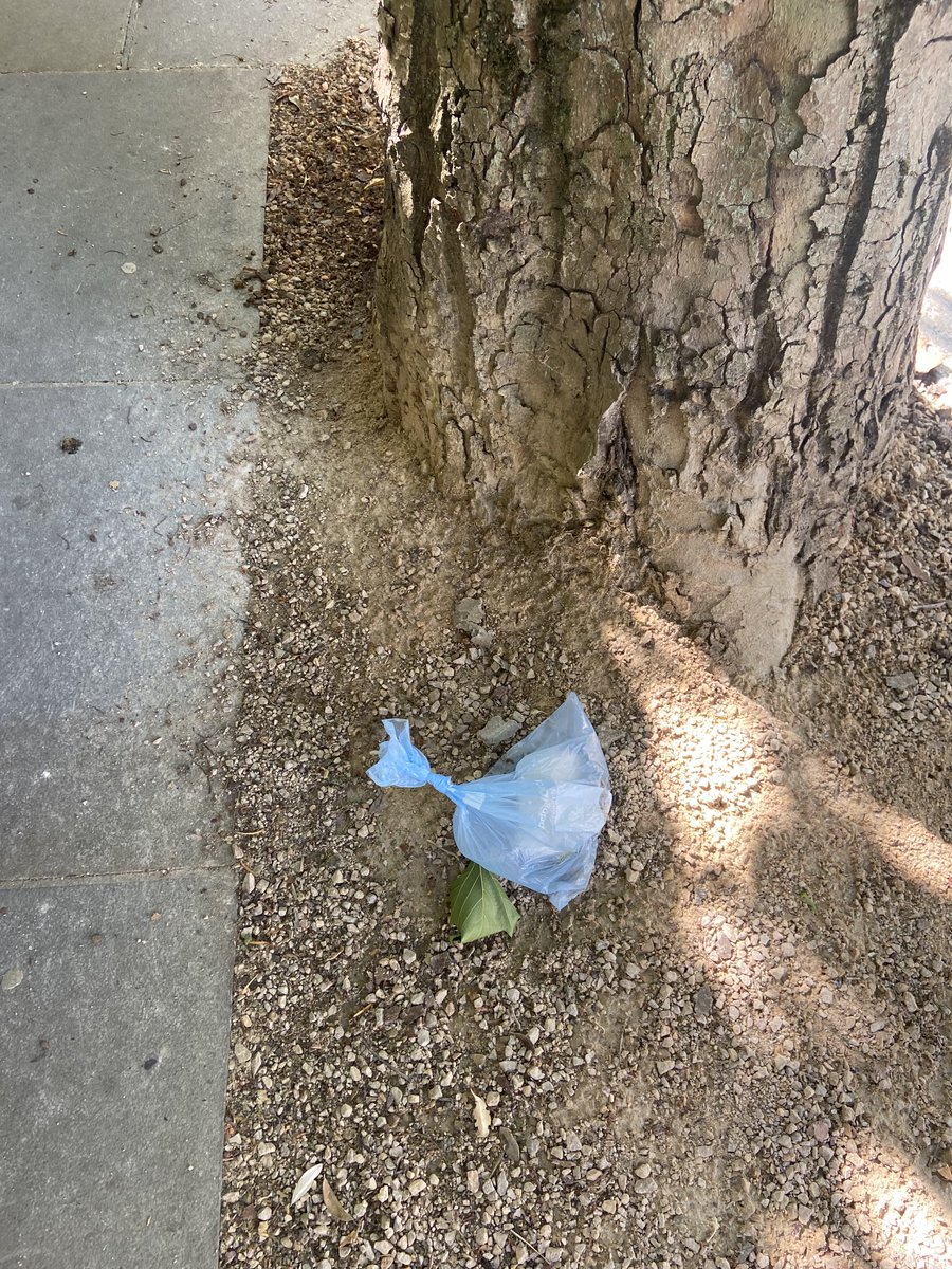 KirstieMAllsopp's tweet photo. The people who do this are ignorant, lazy, thoughtless tossers, God help them if I catch them at it. https://t.co/1OcguHPdtT