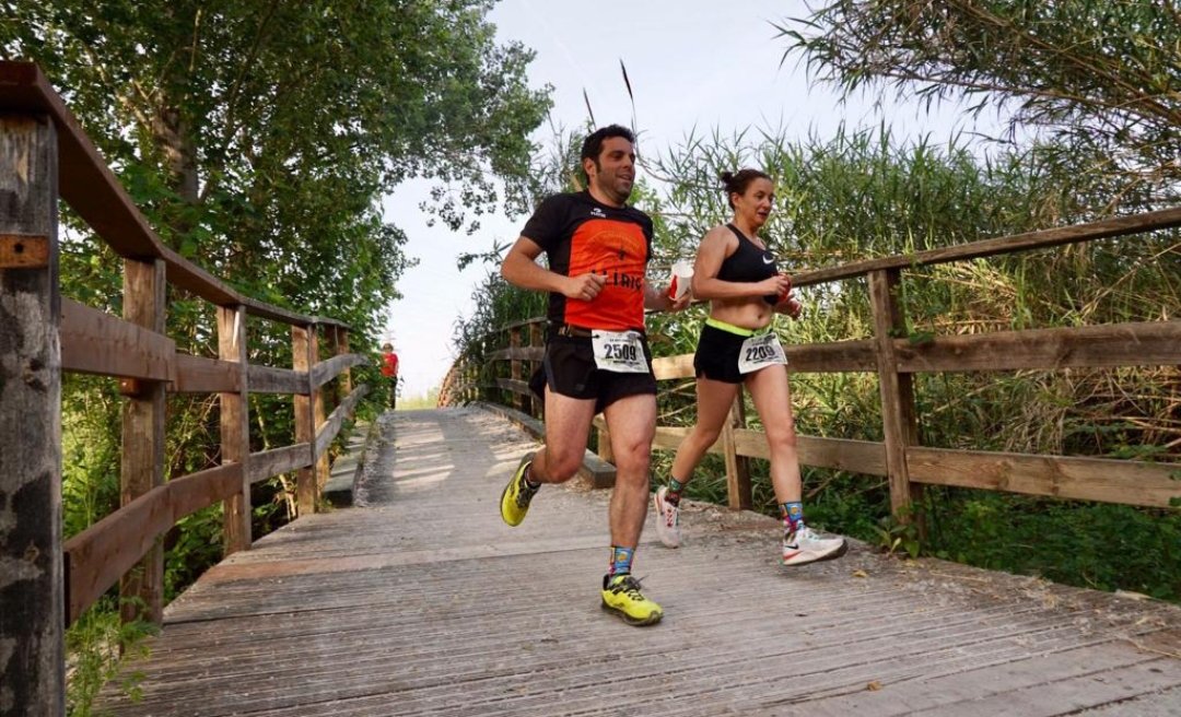 Y más y más imágenes de la jornada de hoy domingo #XIICAC #mancomunitatcampdeturia #fentcomarca #carreraarboledycastillos