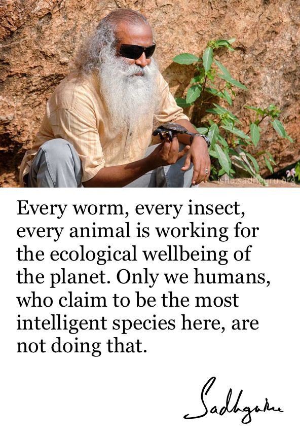 gauravgupta575's tweet photo. @SadhguruJV @GlobalCitizenFo @TalimkaY @cpsavesoil It's high time that every nation starts taking rapid steps for saving their land soil. We don't want to live on a planet with daily riots for necessities like food. Request to all the governments. Please take it up.
#SaveSoilDubai https://t.co/RopYNtUPSu