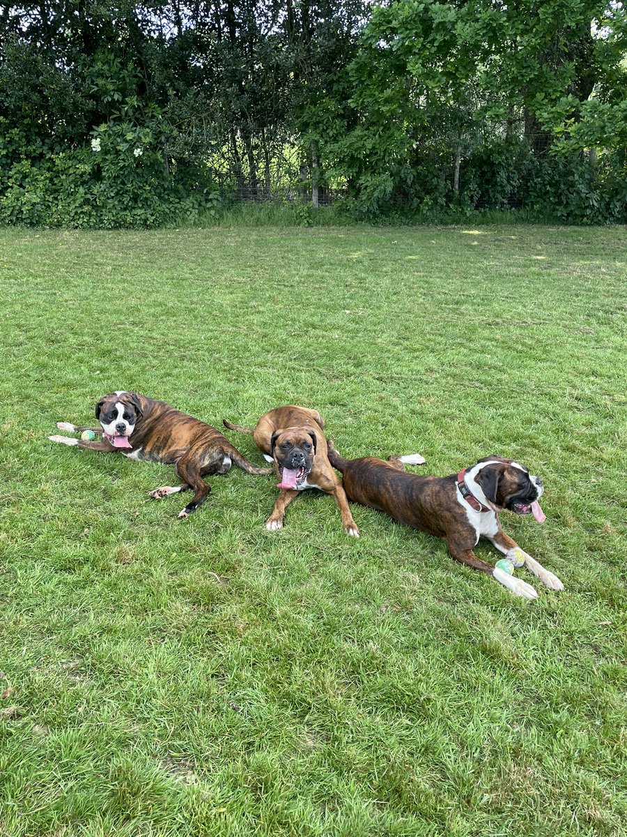 Squad.