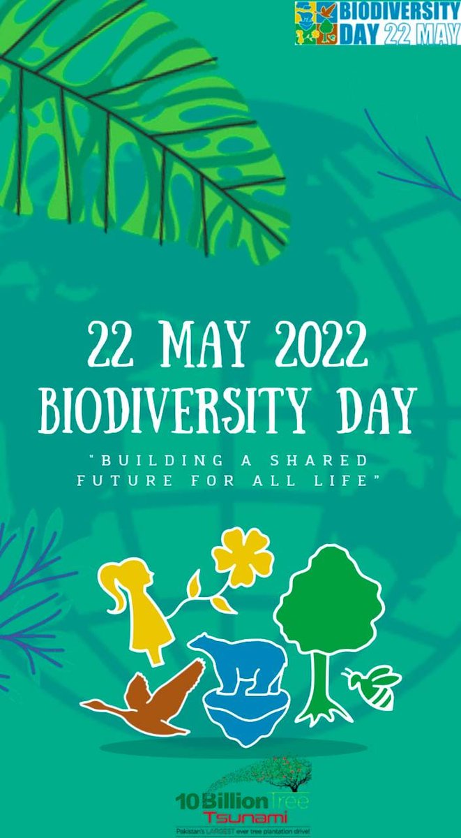 Plant4Pak's tweet photo. Lets act and protect the #biodiversity and save our future. #BiodiversityDay2022
#10BillionTreeTsunamiProgramme
@ClimateChangePK @GovtofPakistan
@UNBiodiversity https://t.co/42x7K6xPCC