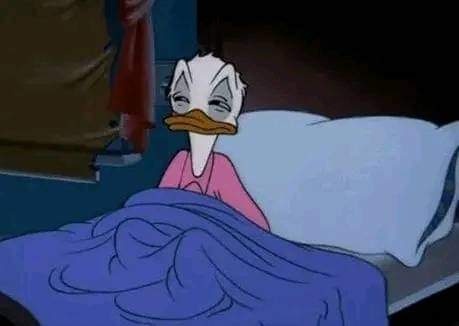 curtovcs's tweet image. acordando cedo no domingo sem necessidade nenhuma