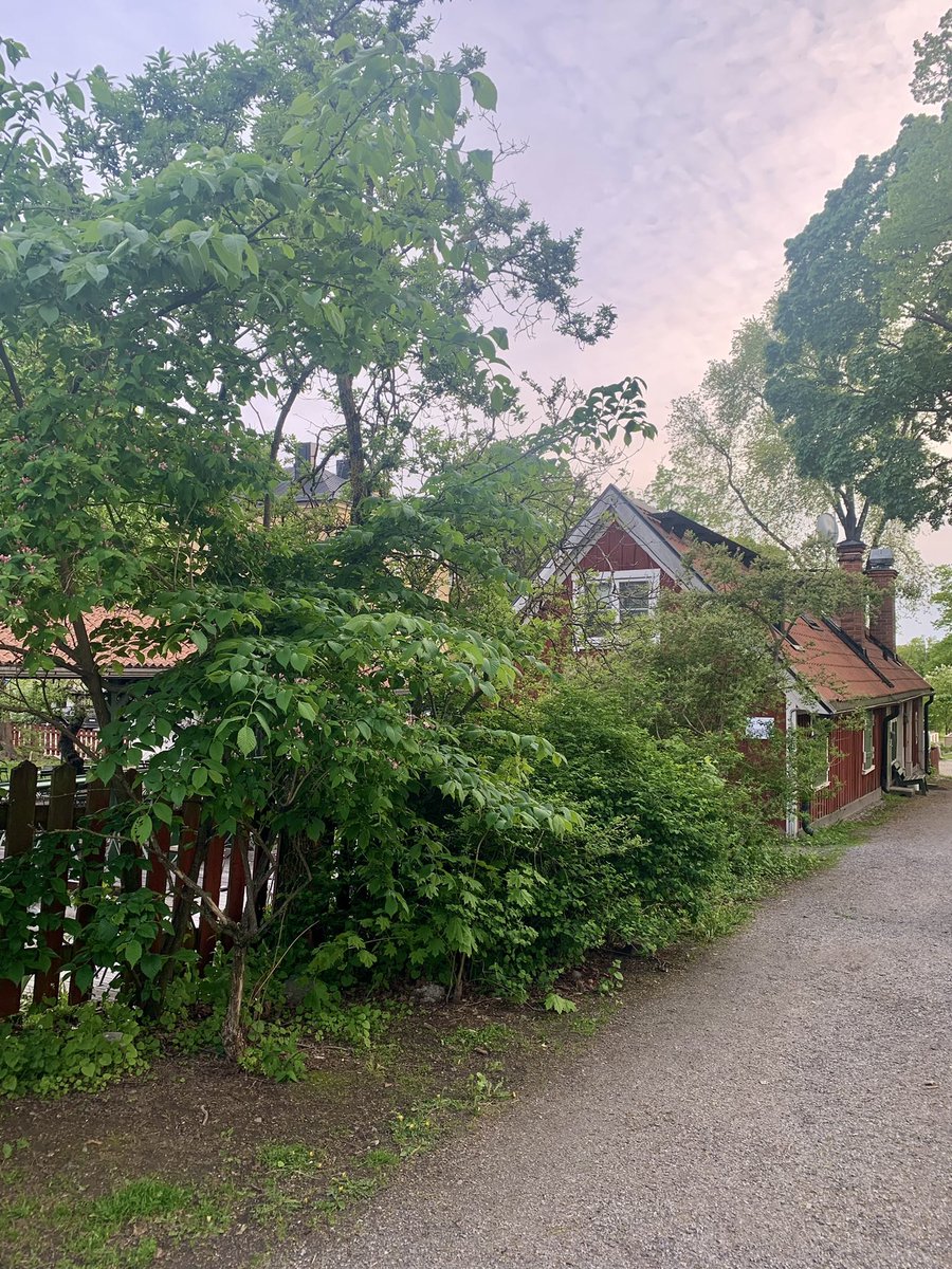 Sofie (@sofiew_) on Twitter photo 