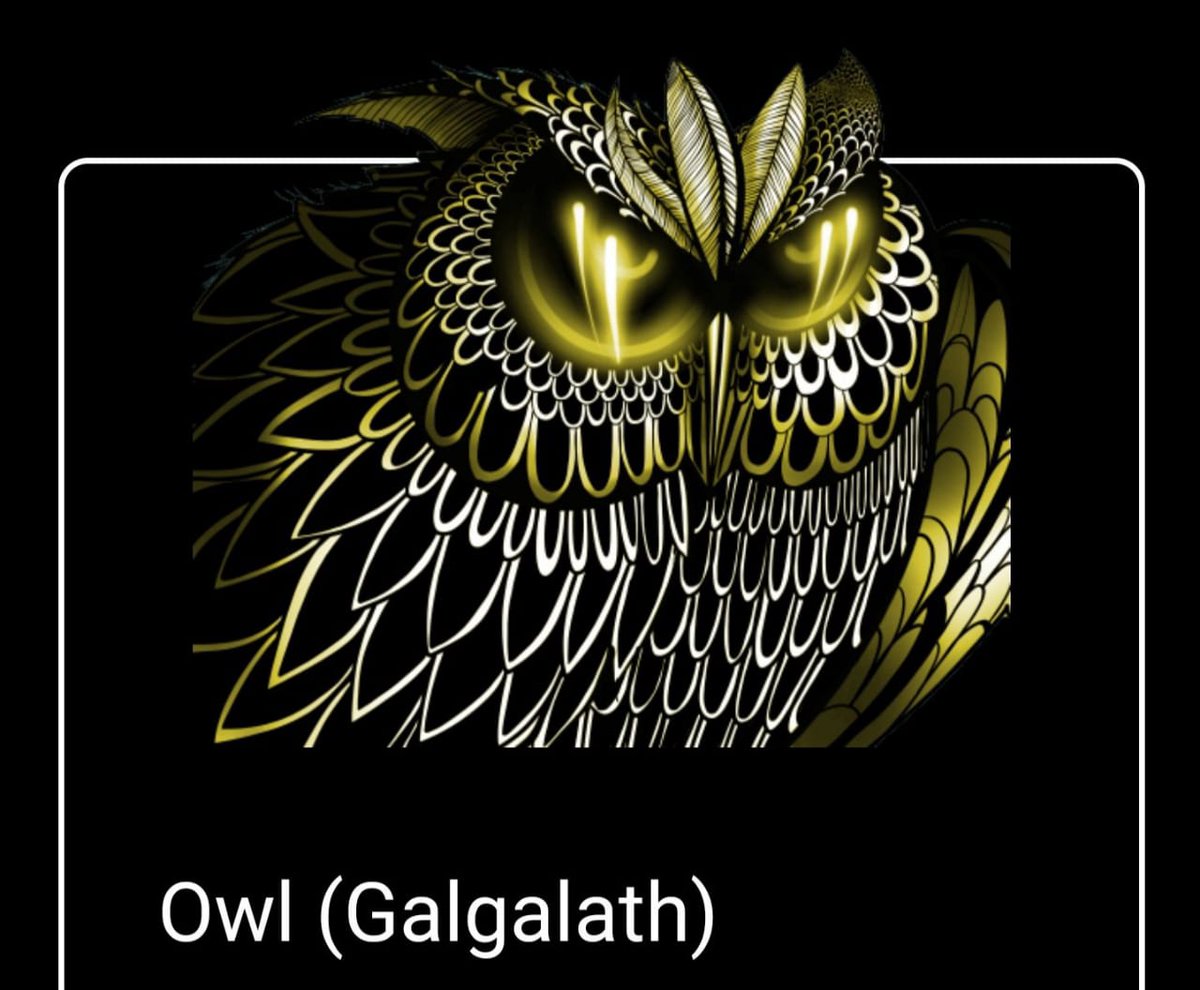 captain meta tweet media