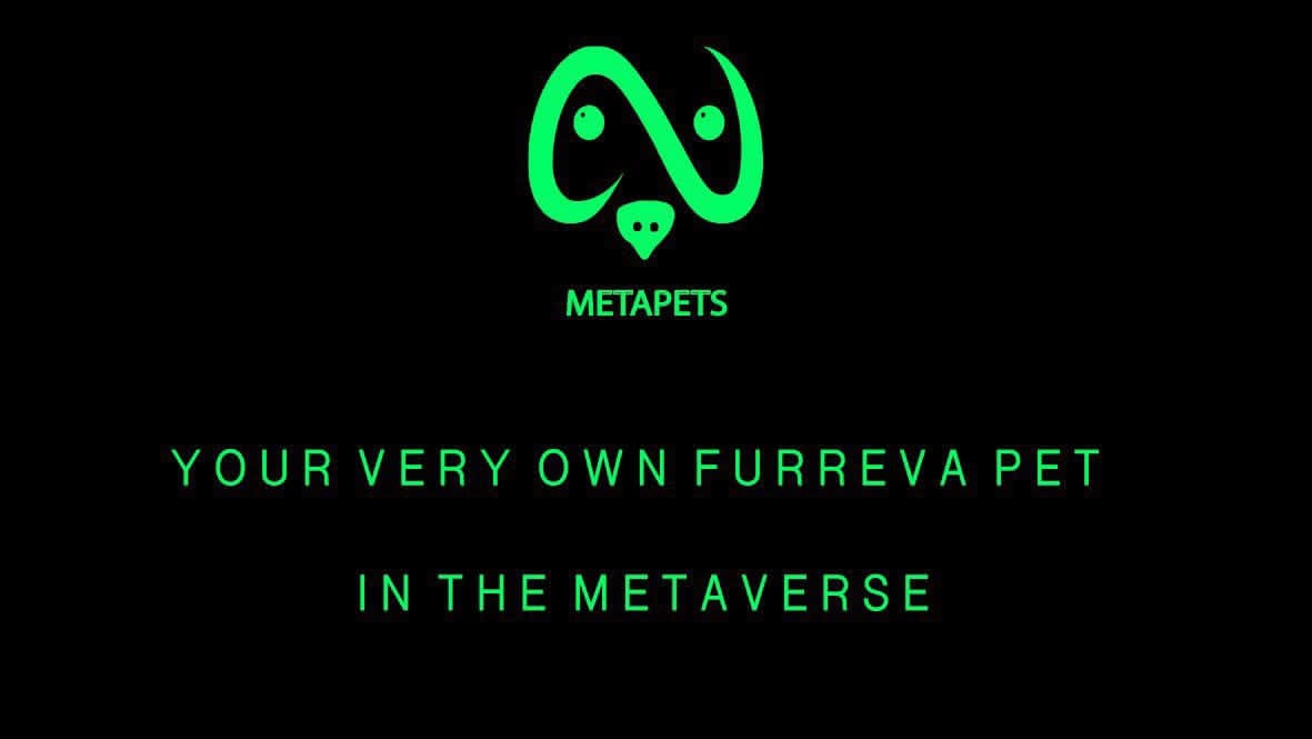 captain meta tweet media