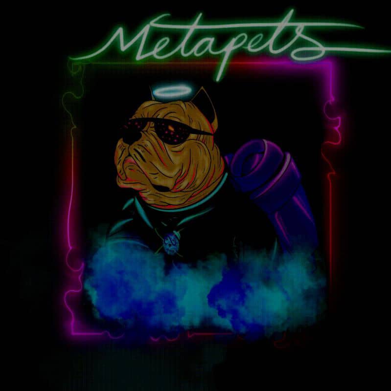 captain meta tweet media