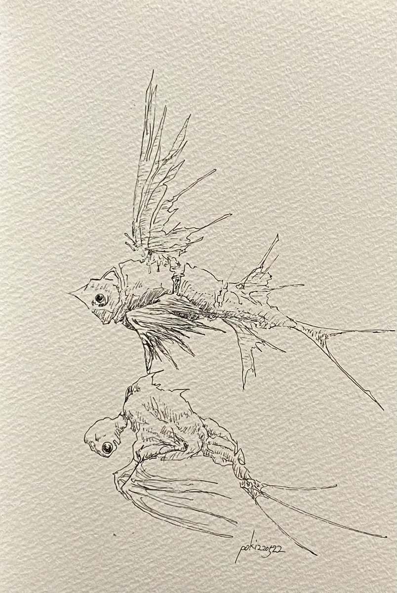 水棲生物 