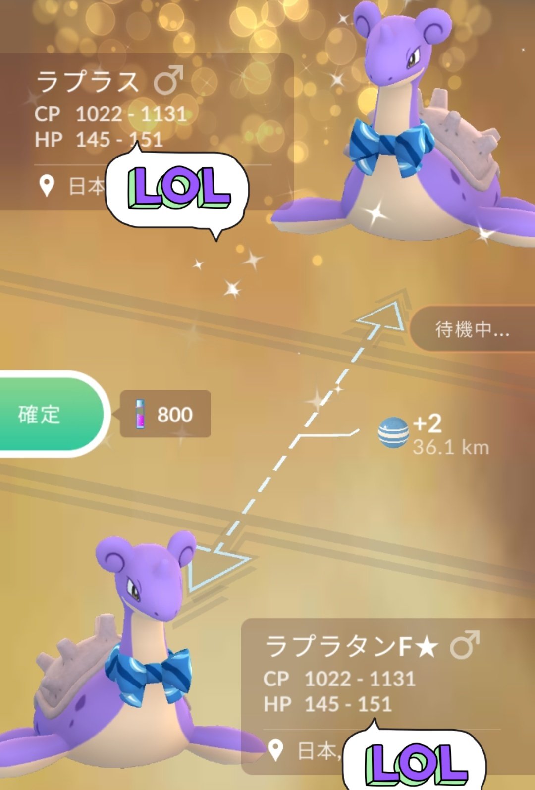 تويتر Amazinghisa على تويتر 今日のポケモンgo活動2 フレンドさんと色違いスカーフラプラスでキラ交換 O ﾉ たまごから意外に初となるニャビーとヤングース ポケモンgo ラプラス 色違い ニャビー ヤングース T Co Dvepuwczxb