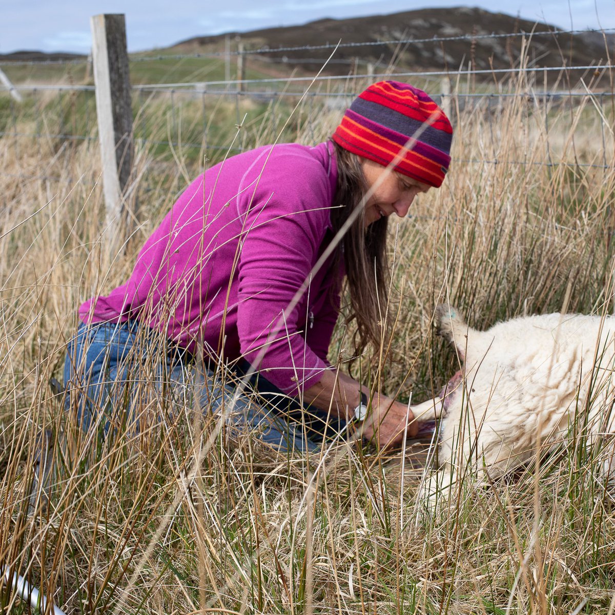 DocuScotland's tweet photo. The #photography by @JshPhotog @sophiegerrard_ @germanocean and @craig_easton who worked together earlier this month on #ShowUsColonsay is available exclusively for you today by becoming one of our valued patrons.
https://t.co/ugZorJEyKC
The event was funded by @CreativeScots https://t.co/LaOCV06Ob3