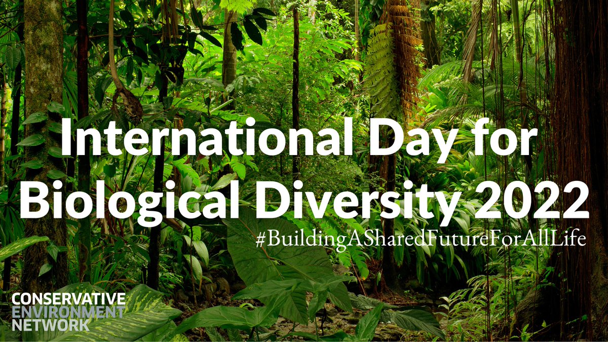 SelaineSaxby's tweet photo. #BuildingASharedFutureForAllLife this #InternationalDayforBiologicalDiversity 🌍 https://t.co/mFIRH8J8pY
