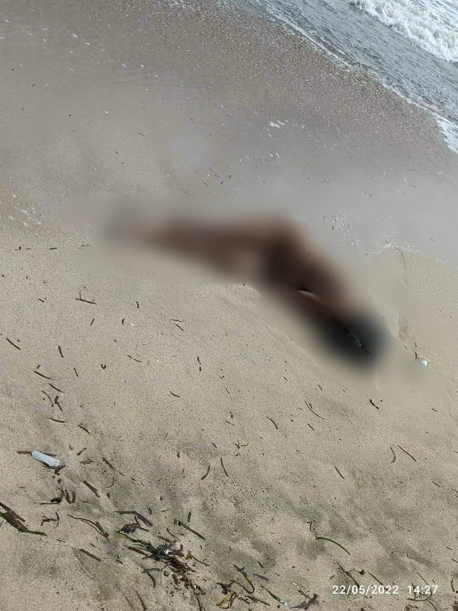 nslwin's tweet photo. BREAKING:  17 #Rohingya dead bodies found on Shwe Thaungyan beach in Pathein Township, Ayeyarwady Region today (May 22) morning, Ayeyarwaddy Times reports. 
 
Locals said a boat carrying about 90 Rohingya from Rakhine State capsized in the Bay of Bengal yesterday. https://t.co/KfHZdTkzIO