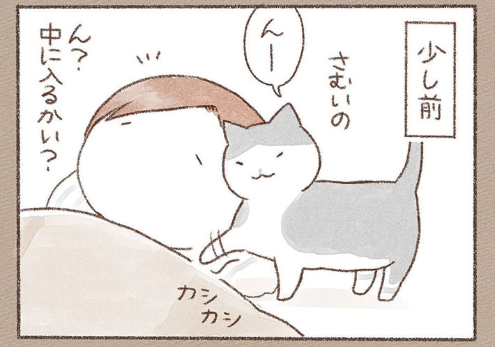 「ああ、春が来たんだなあ」 猫飼いあるあるな展開に「まさにこれ」「一緒だー!」 https://t.co/stTV3skeb0 @grapeejpより 