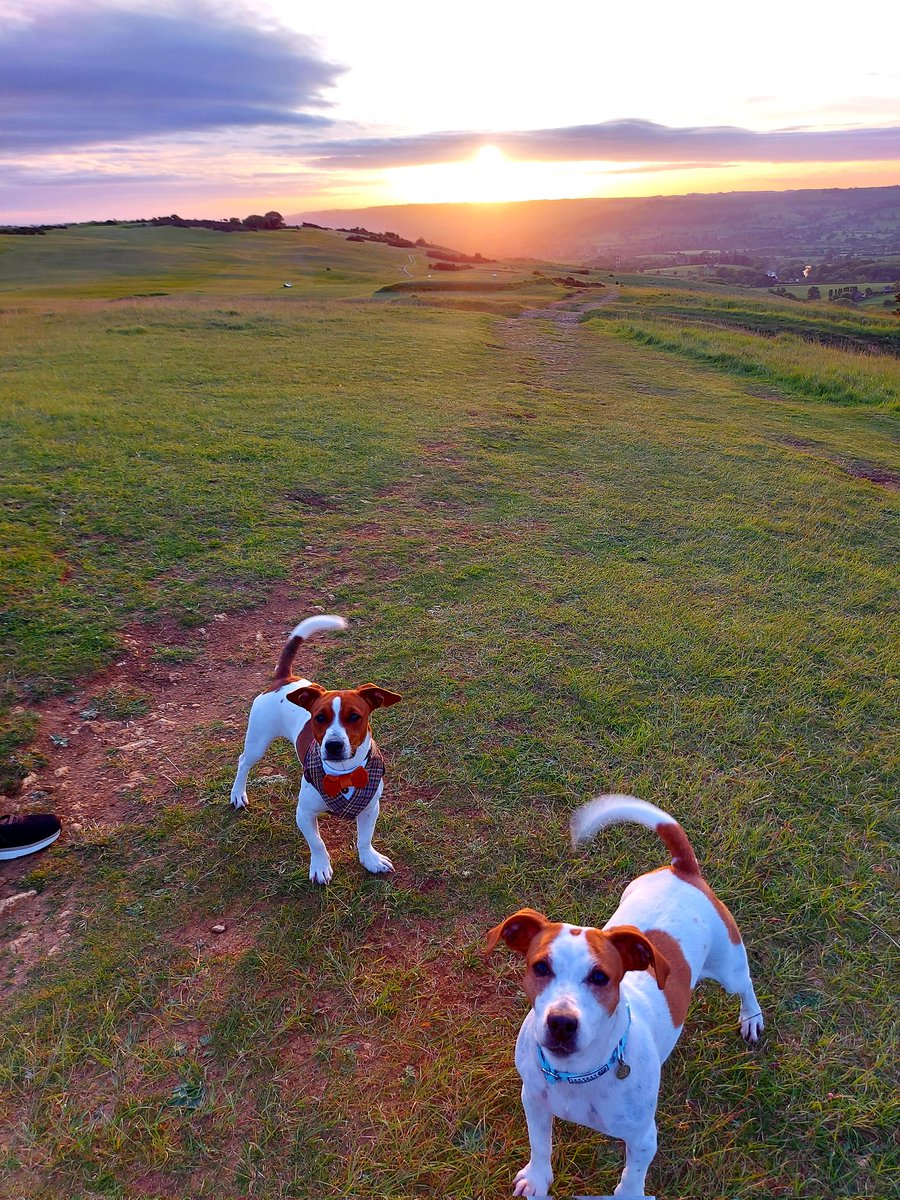 Jessimpson01's tweet photo. After 3 lovely years living in Gloucestershire, today is the day we leave the Southerner life. The only way to honour the memories was of course a 4.30am walk up Cleeve Hill to watch the #sunrise 🌞 before we head up the road to my northern roots #northern #newstart #movingday https://t.co/k8GztqIR3m