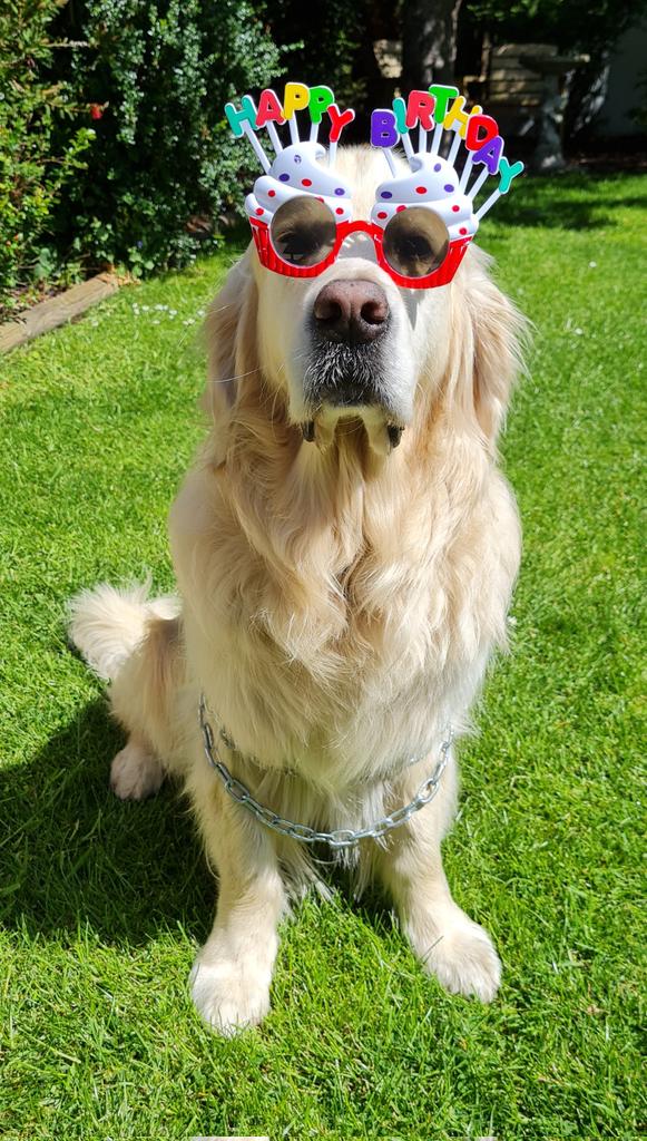  Happy 10th Birthday Mr T! 