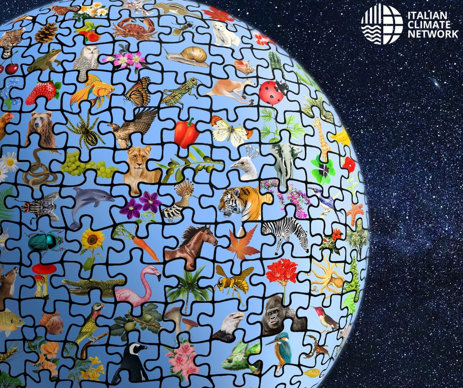 È la giornata mondiale della Biodiversità!
Proteggerla è fondamentale: perdere la #biodiversità porta alla crisi di servizi ecosistemici imprescindibili per la vita dell'umanità sulla terra