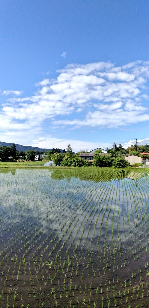 🗻富士山通信🗻 こんばんは😊 今朝は青空でしたが 富士山は雲に隠れて 裾野だけの 雲山😅 田んぼのリフレクション 気持ちの良い空でした☺ 素敵な夜を💕