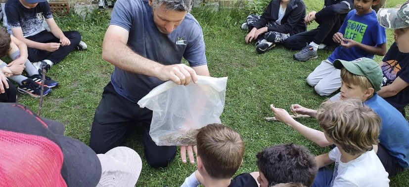 CCJuniorsTrips's tweet photo. We caught some! π π #Y5CC #CCfamily #CCjuniors ps no animals were harmed, they just got lots of extra food and a safe night sleep! https://t.co/pErt4iD2Le