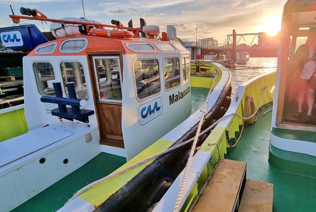 ᵀʰᵉ ᴸⁱqᵘⁱᵈ ᴴⁱᵍʰʷᵃʸ tweet media