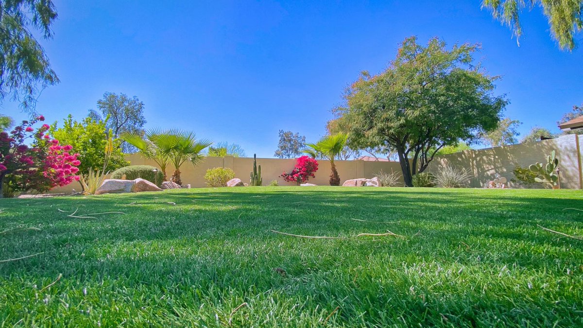 CCGrassUSA's tweet photo. A wonderful afternoon: sipping coffee☕ in the beautiful backyard and lying on the turf 🏖️
#CCGRASS #artificialturf  #artificialgrass #turfsupplier https://t.co/YlwtHIfWRw