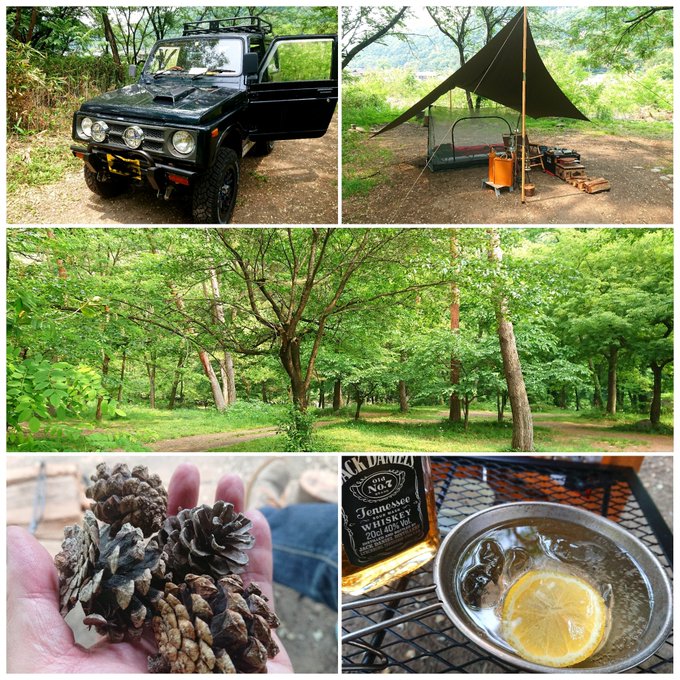 ニッコウイワナのtwitterイラスト検索結果