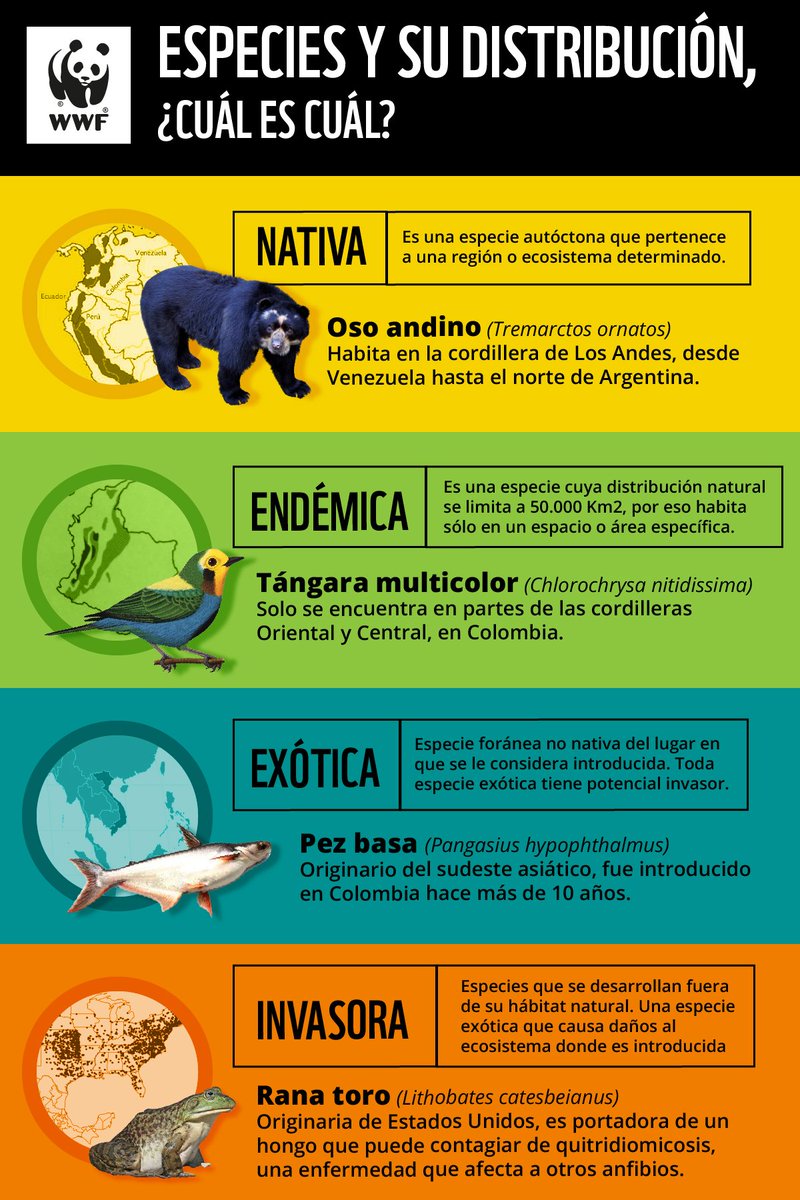 WWFColombia's tweet photo. ¿Una especie es nativa, exótica o ya es considerada como invasora ? 
 
En el #DíaDeLaBiodiversidad te aclaramos el panorama para que entiendas la importancia de las especies de nuestro país . 
 
Dale RT 🔃 para que más personas sepan por qué debemos proteger nuestras especies. https://t.co/9Jn1hOmeRN