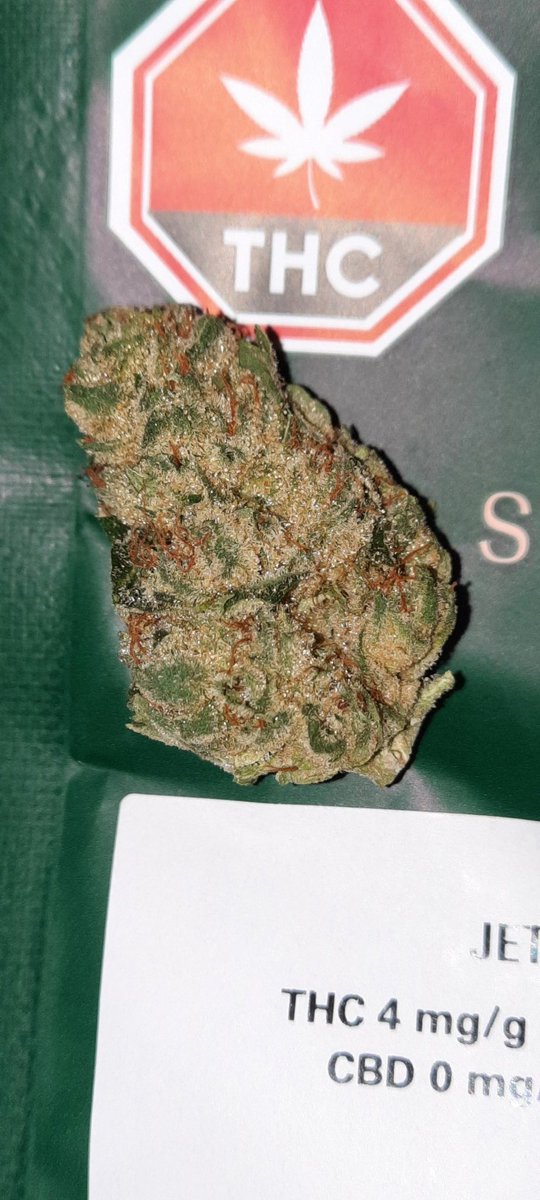 _LucieBee's tweet photo. @PureSunfarms loving this #jetfuelgelato 24.7%! Got it #fireandflower
Got a 24% #pinkkush last week & it was pretty sweet!
Looking for jobs on indeed from you but it doesn't seem to show any...😩
#stonerfam #Mmemberville #CannabisCommunity #puresunfarms #cannabis #reviews https://t.co/5WTfdE12VZ