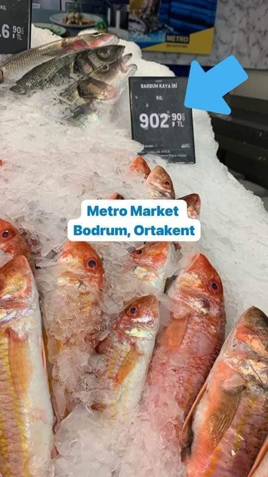 Fakir yemegi bilirdik baligi fucker cikti.