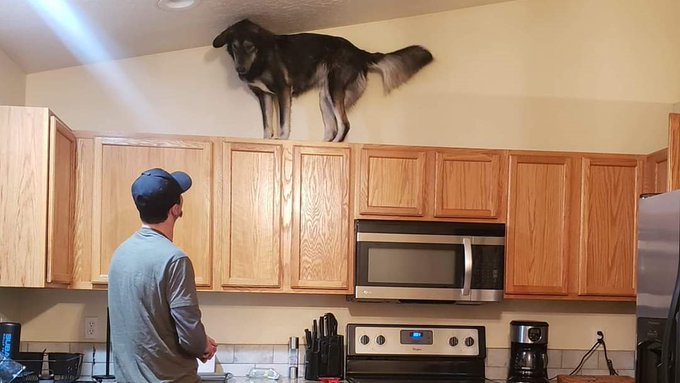 Venga va, vamos a dar un paseo, no seas tiquismiquis, que no hace tanta calor.