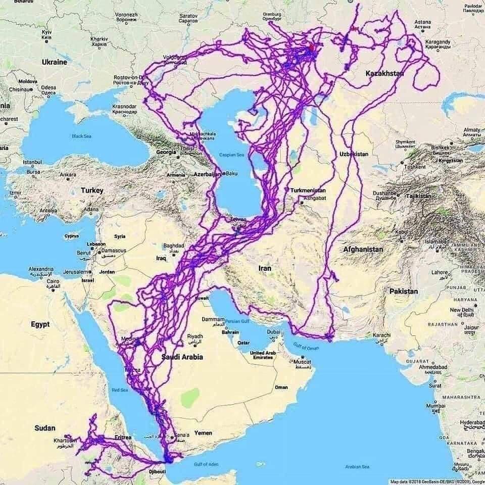 realmehrvarz's tweet photo. به این عقاب ۲۰ سال پیش جی پی اس وصل کردن، حالا که مرده مسیر حرکتش رو ببینید😳 https://t.co/CDZoXUAMuI