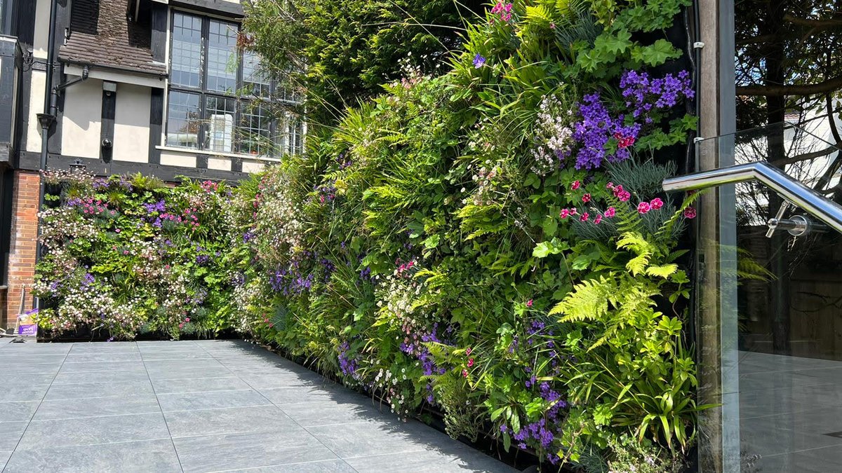 TheGIC_'s tweet photo. Enjoyed supporting @urbangreeningco in designing, building and planting this green wall in Bournemouth https://t.co/jQ0z9BjZkm