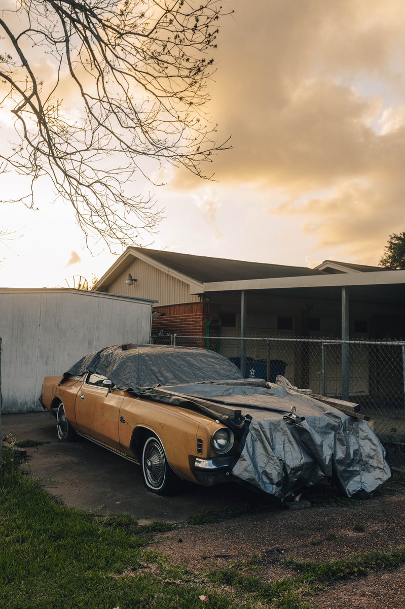 Dominique 🇵🇦 tweet media