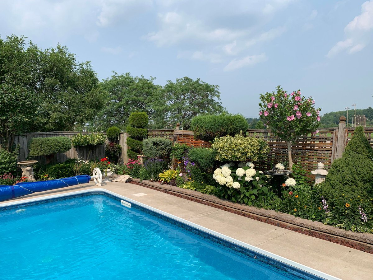 Award winning back yard green space !