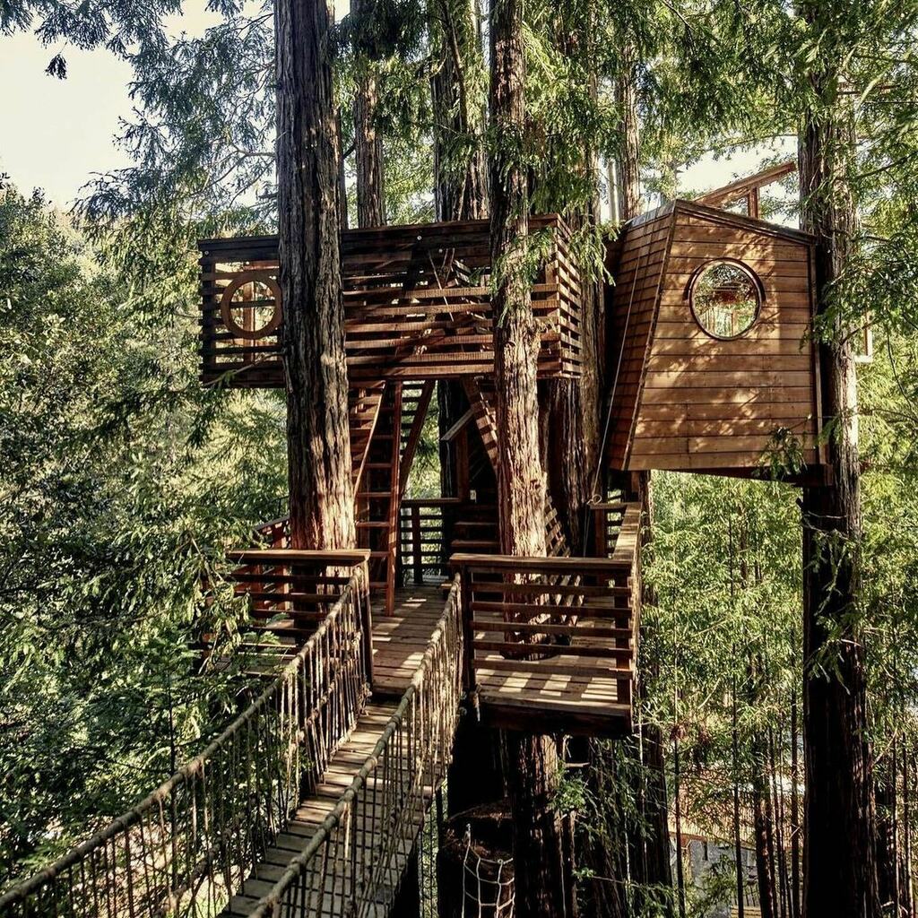 lloydkahn's tweet photo. Santa Cruz tree house by @jaynelsonstudio
Jay has been featured in a few of our books from the Shelter library.
Repost @dwellmagazine
Photos by @___cheapglamour
#treehousedesign #santacruz #california #shelterpub #shelter https://t.co/BBe8iltzWW https://t.co/nqtHE4VME9