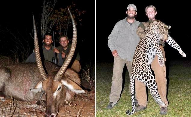 TonyHussein4's tweet photo. Donald Trump Jr. shot and killed a bear during a hunting expedition in 2018.
A hunting guide in Utah has been charged with illegally baiting the bear, which Don Jr. killed, during a hunt in the state.
#Murdered
#DemVoice1 #Fresh https://t.co/xAEYOAF1LW