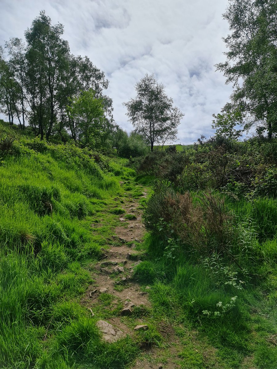 CSketchbooking's tweet photo. The Hills (Malverns Hills). https://t.co/yD9F89pfCV
