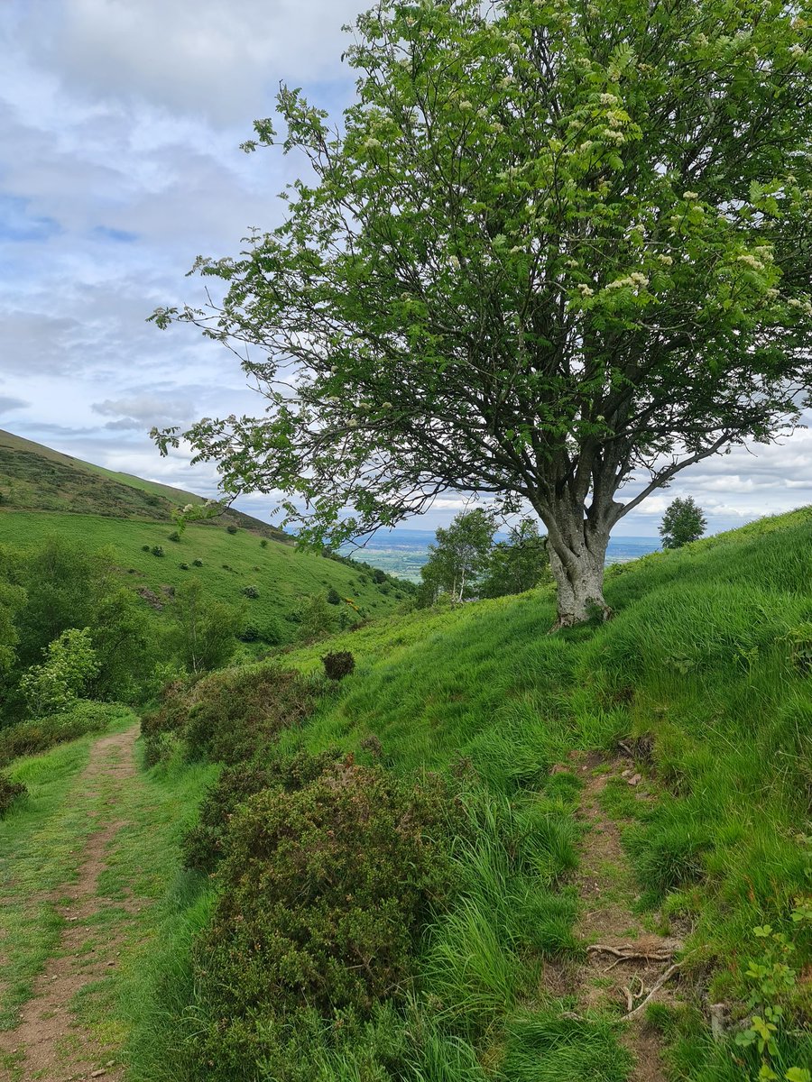 CSketchbooking's tweet photo. The Hills (Malverns Hills). https://t.co/yD9F89pfCV
