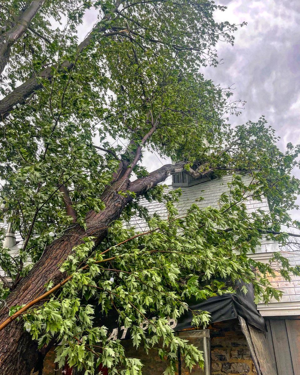 Hey folks what a storm! 

We are open today but unfortunately Internet and cellular not working so we are cash only! 

If you had a reservation we can’t see it walk-in only today sorry
Again cash only no reservations today OPEN tasty food.   

THANKS TO OTTAWA VALLEY TREE EXPERTS