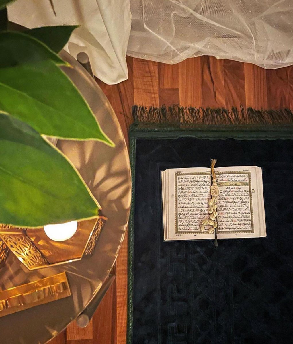 ✿⸀ ⠀

اللهم الأفراح الدائمة ، والقلب الشكور💚.