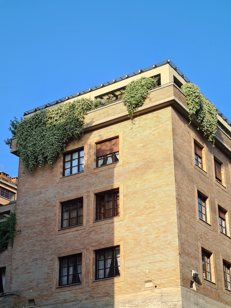 turinepi's tweet image. 31C/87.8F cloudy in #turin and my #rusticbread is rising on the #balcony. Plan your travel to #torino 🐃 our last post is 4 u turinepi.com #SearchingforItaly #esc2022 #UEFAWomensChampionsLeague #bestitaly #secretitaly #greenitaly #foodiesdestination #tourturin