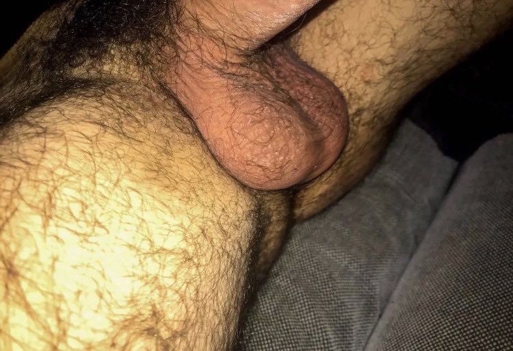 TheArabAlpha's tweet photo. Say it loud: ALL. WHITE F@GS. BELONG. LOCKED! (come crawling to be allowed to sniff my balls you fucking wallet/sissy/whitey/f@ggot)🖕🏽⛓🖕🏽🔒 @arabaddict #arabmaster #whitesub https://t.co/taPUlyysYc